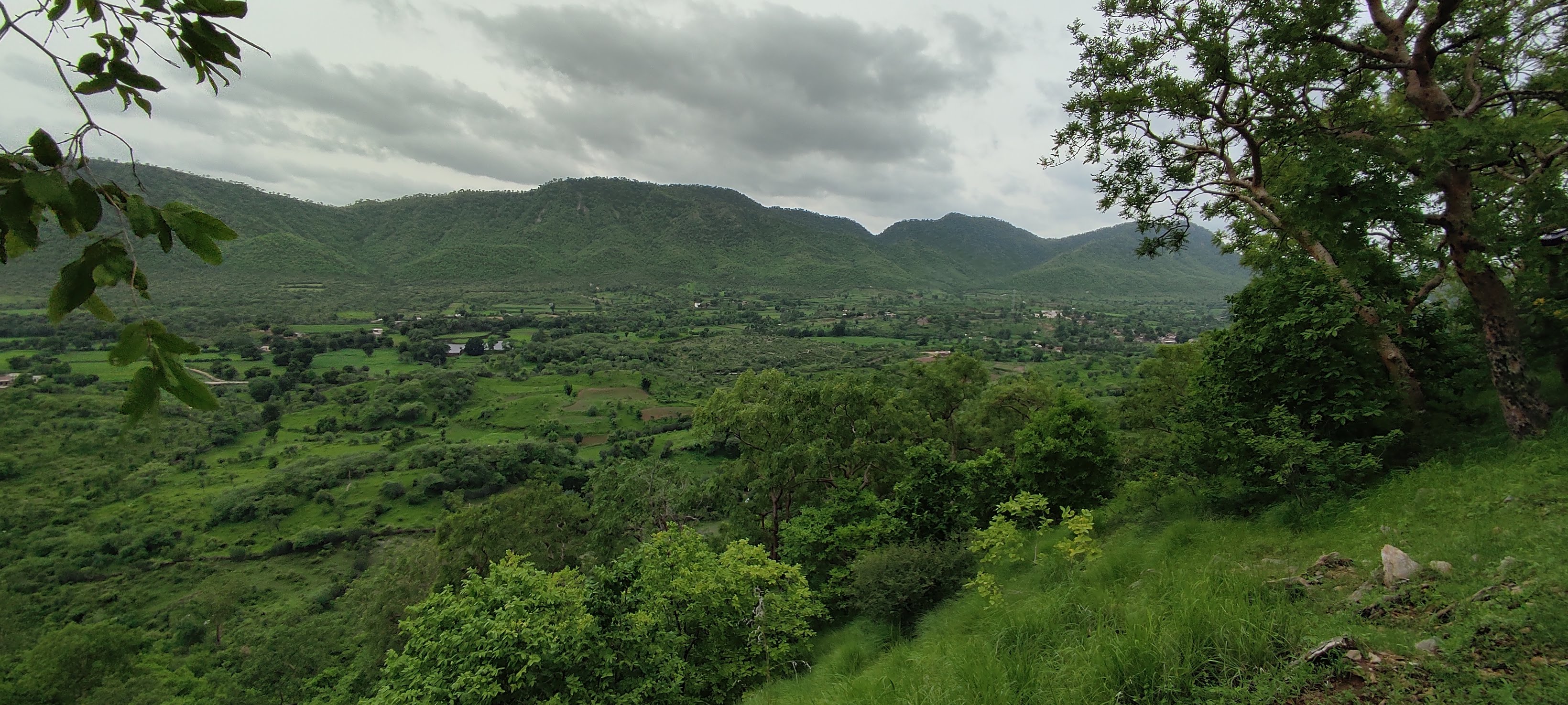 View of the valley from a hike through the forest