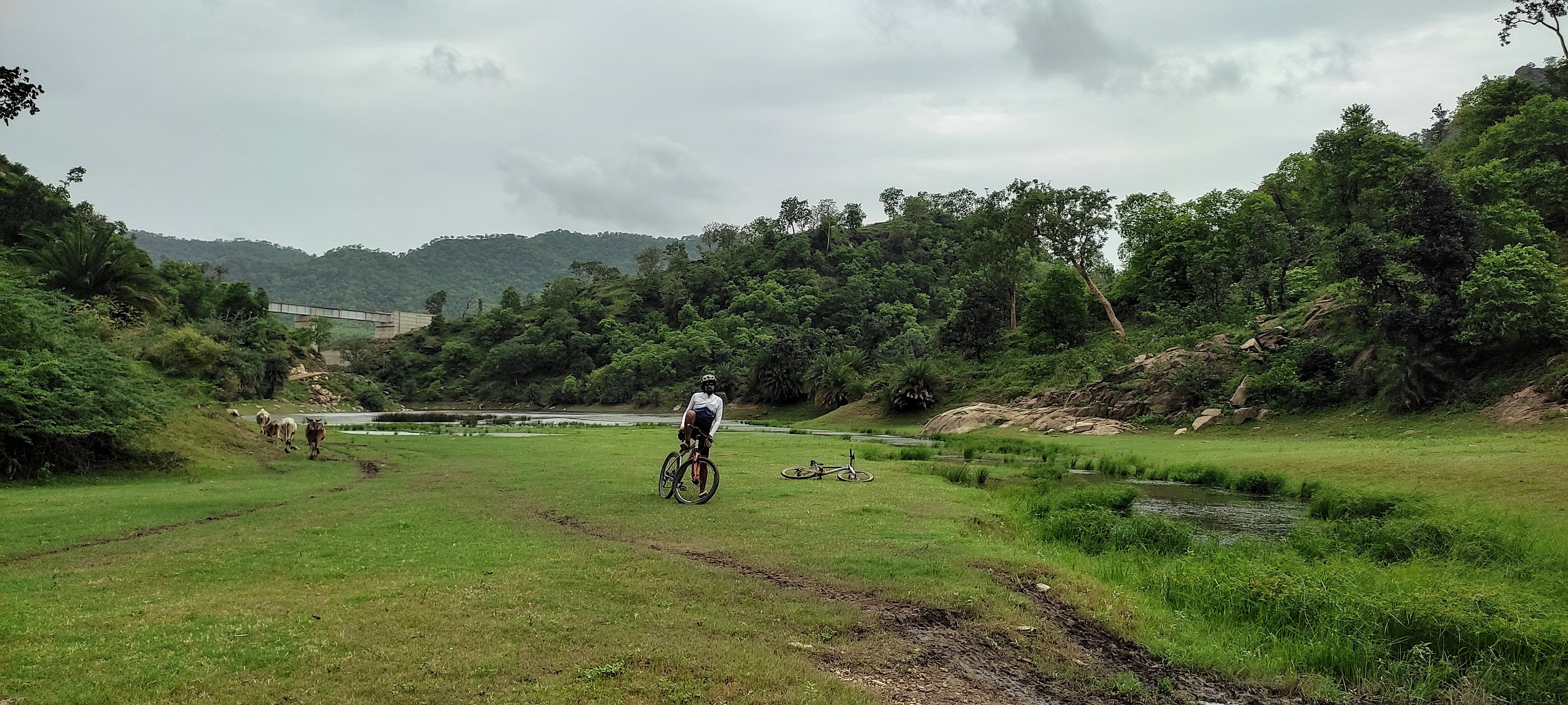 Cycling and Hiking Weekend at Udaipur